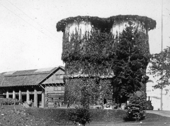 A 70' tall log cabin on the left is tiny next to these vine covered water towers.