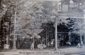 Image of lots of trees there are people on large swing, sitting down and at least one person leaning against a tree. The image was very small from within a book. Even with the best scan hard to make anything out. Text "Picnic Grounds, Cedar Grove, St. Johns Line