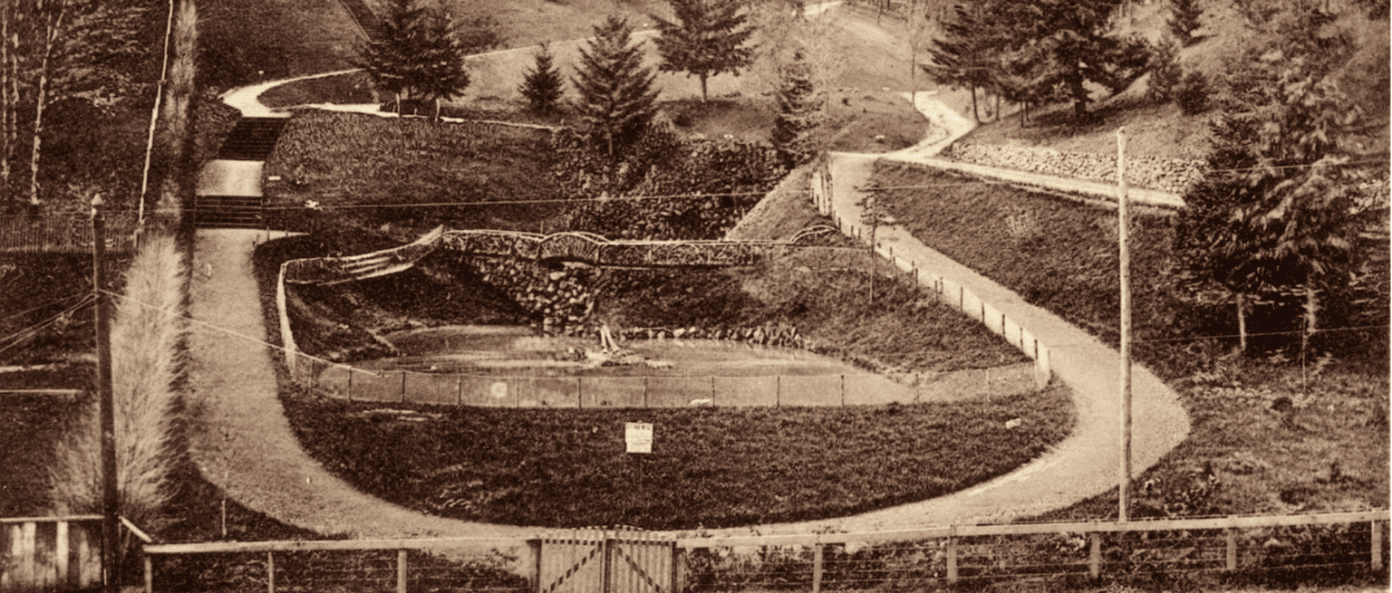 Image of a a park - this looks more like a race track.