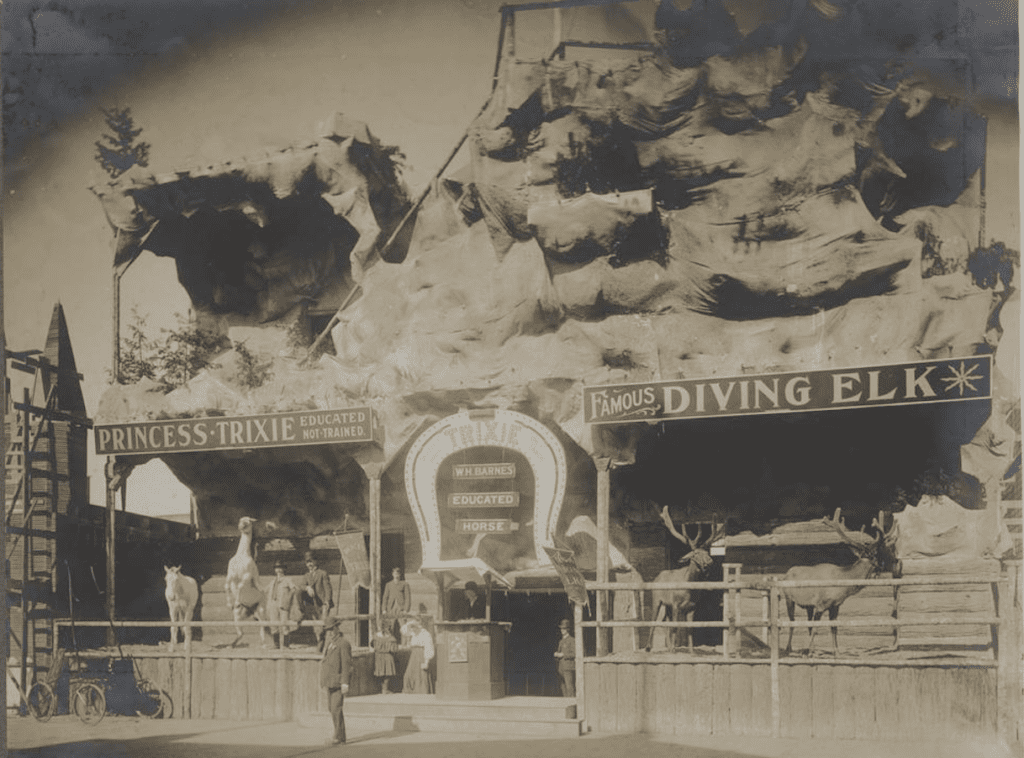 Image of carnival location on the trail of the Lewis and Clark Fair 1905 reminds me of a polar bear exhibit at the zoo lots of rocks fale hillside posters to draw in passer bys