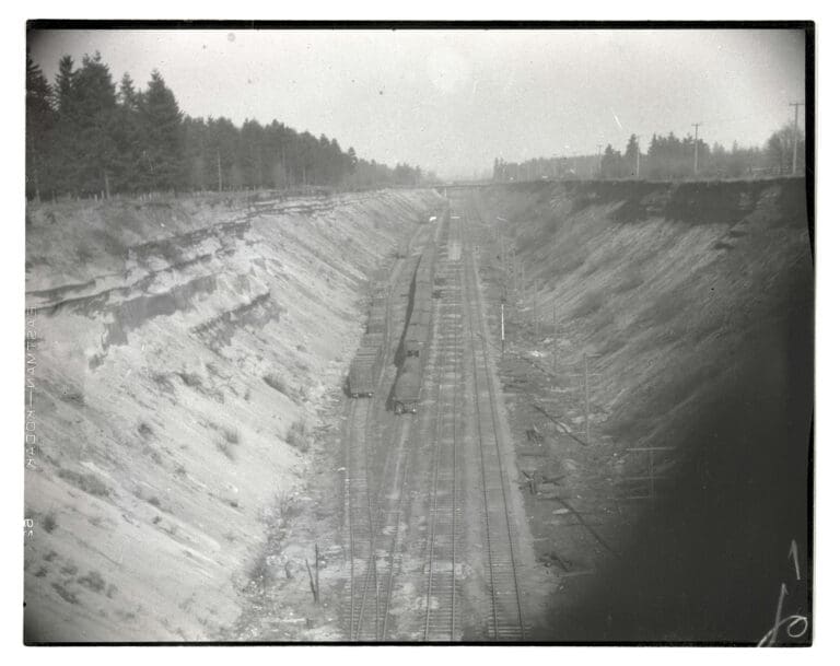 train tracks and a few trains on the cut view is birds eye you see mature trees on the ridge line on the left the slopes are raw dirt