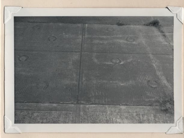 There are marks in the cement that make it appear that a horse walked on it while it was drying.