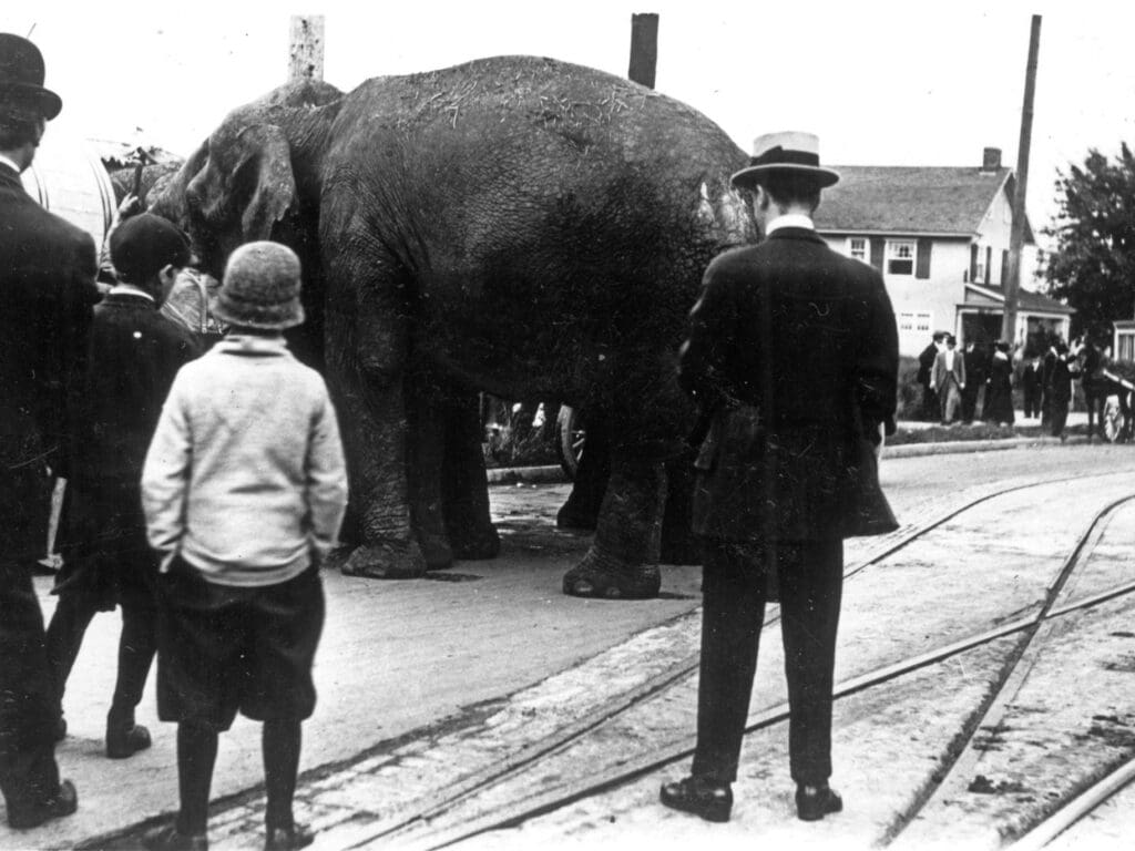 Elephant in NW Portland there are two adults and two children in the foreground way too close to the elephant - in the back ground there is a house with about 8 folks out front. There are street car tracks on a dirt road