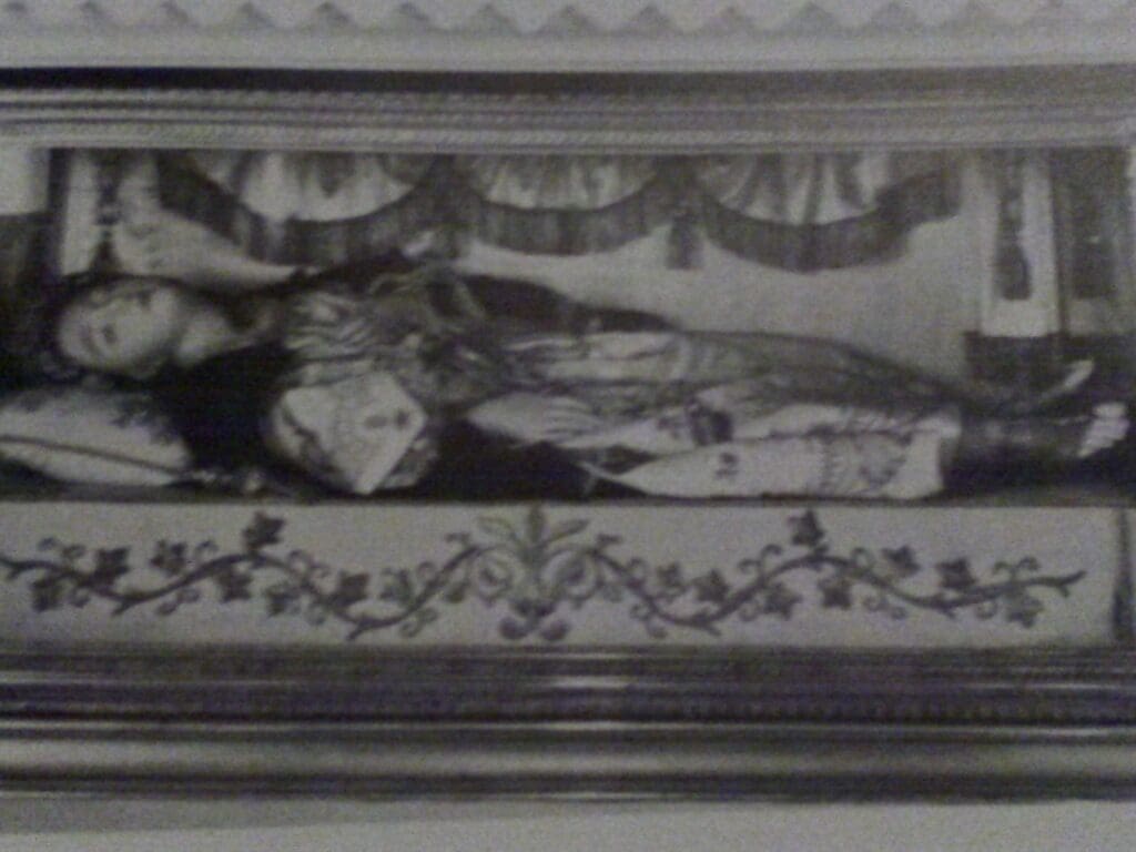 Wax Flavia in glass box