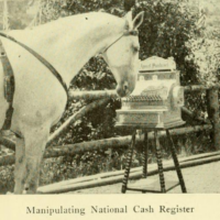 Using a NCR Cash Register