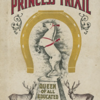 Cover of Book Princess Trixie