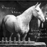 1904 by Waltermire Studio (Sioux City, IA) Trixi in Sioux City 1904 with her "master" man with mustash behind picture has cursive writing "Princess Trixi doing her mathimatical problems" there are levers her mouth can reach numbers 1-9.