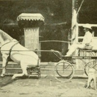Image from book.