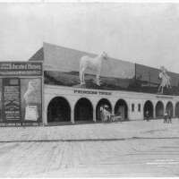 building in Virginia Trixi the horse is very small in relation to the sign above the building
