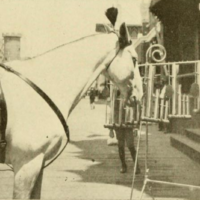 Trixie playing music